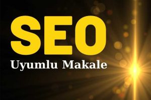 SEO Uyumlu Doğru Makale Nasıl Yazılır